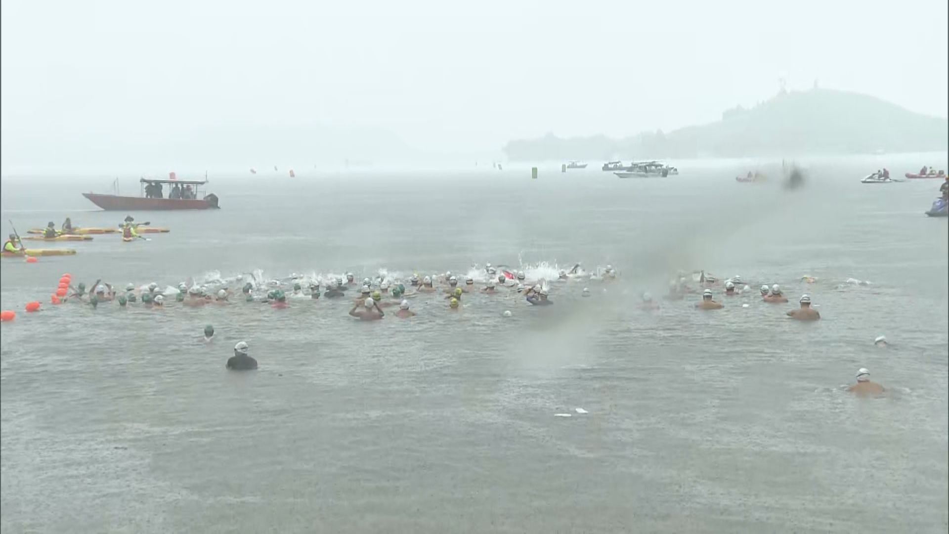 第52屆吐露港渡海泳公開賽　黃雨照常舉行