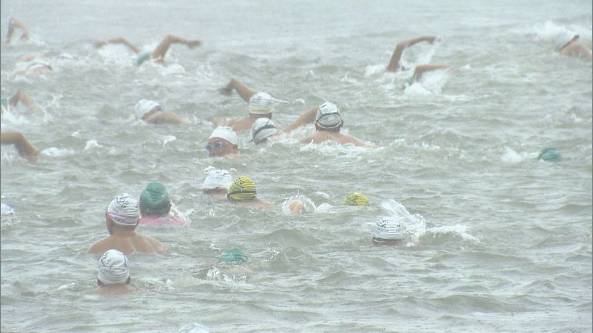 吐露港渡海泳在黃雨下如期舉行　泳手稱表現未受影響