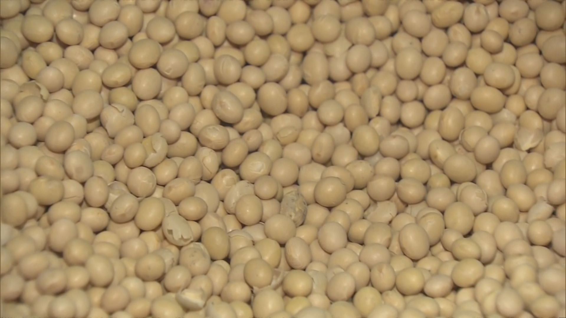 關稅戰｜本港醬油廠憂全球黃豆價飆升　荳品廠稱若成本上升勢加價