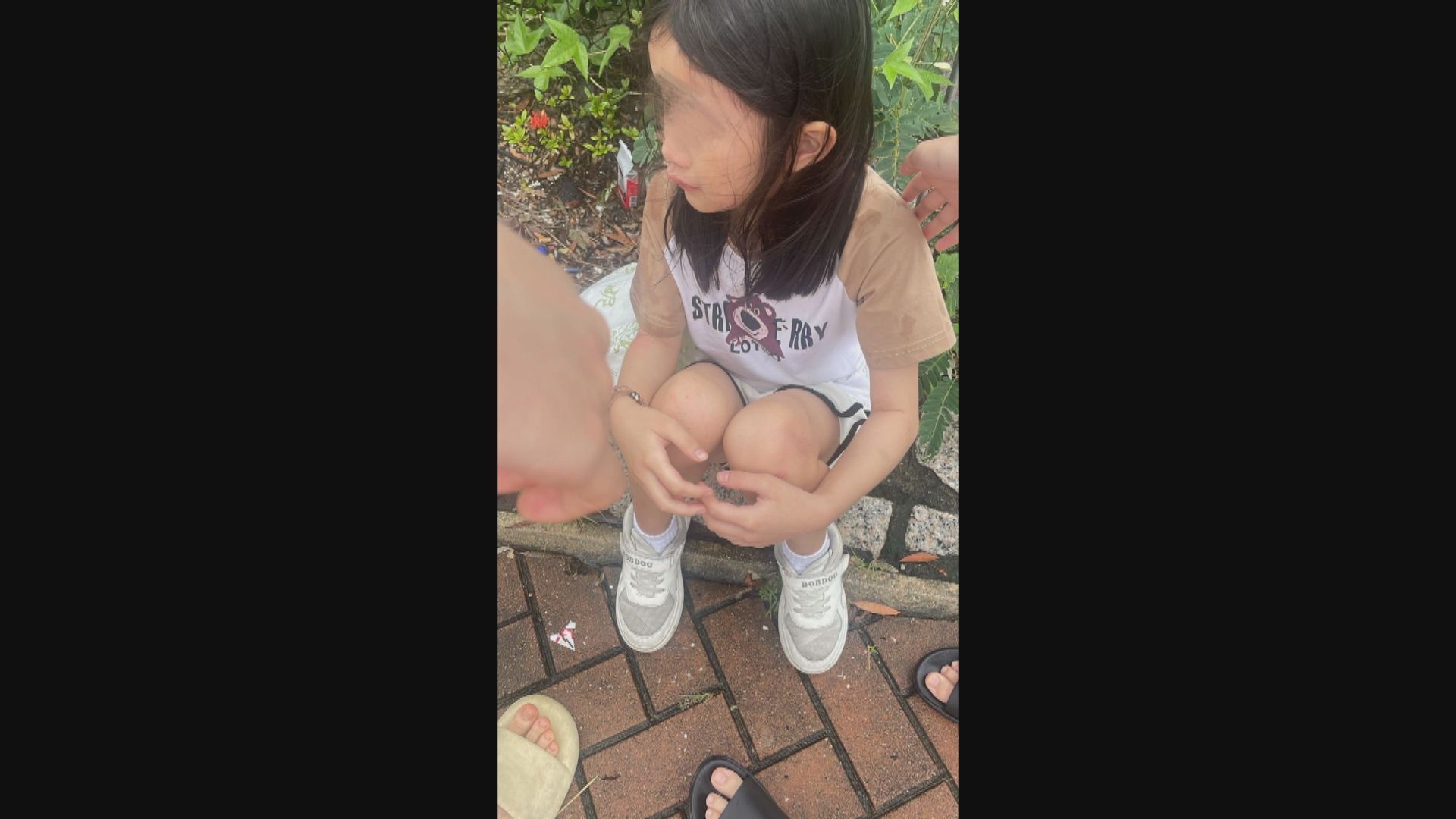 的士撞傷8歲女童不顧而去 司機涉套假牌自首被捕