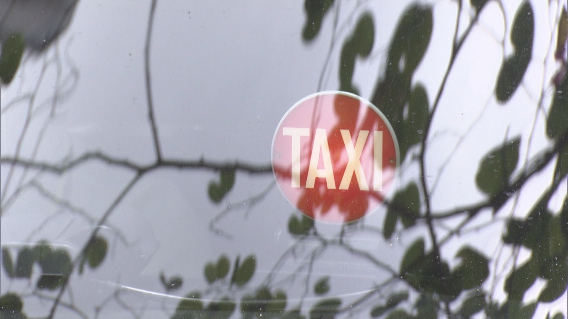 運輸署：的士車廂明年起會安裝行車記錄系統