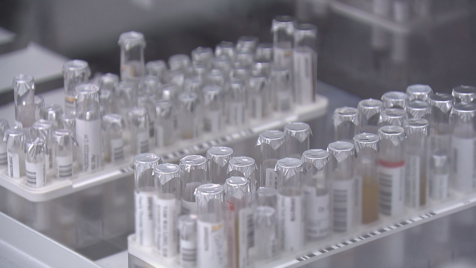 外傭美國抽血送港驗抗體獲縮檢疫期　衞生防護中心調查有否違規