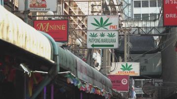 泰國取消大麻合法化　未來購買須提供醫生處方