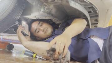 泰國救援隊拯救在汽車引擎出生的幼貓