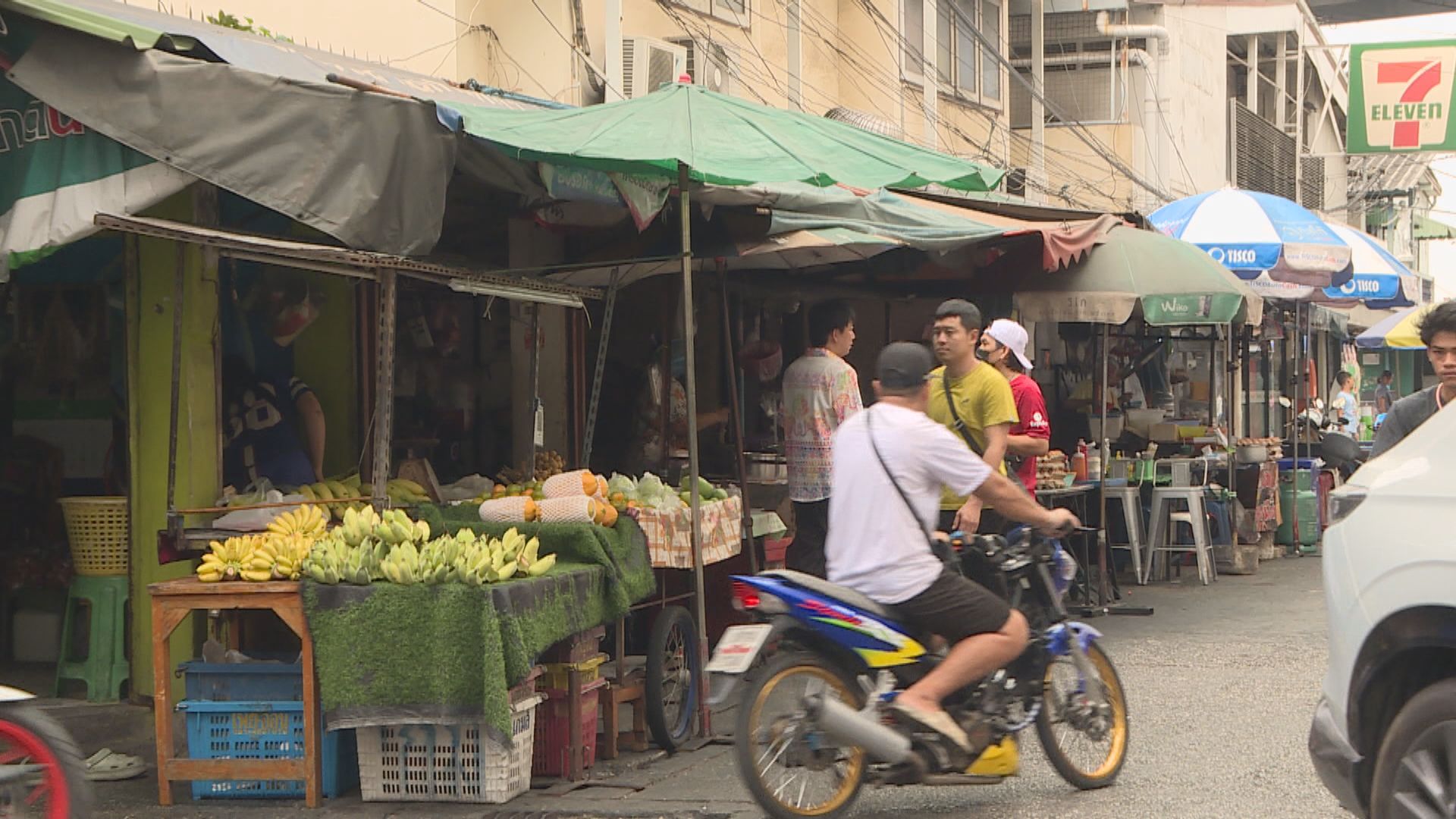 泰國有果蝠驗出強毒性尼帕病毒　當局相信傳人風險較低