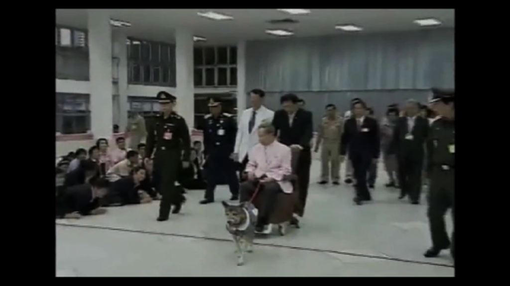 泰王普密蓬愛犬病逝