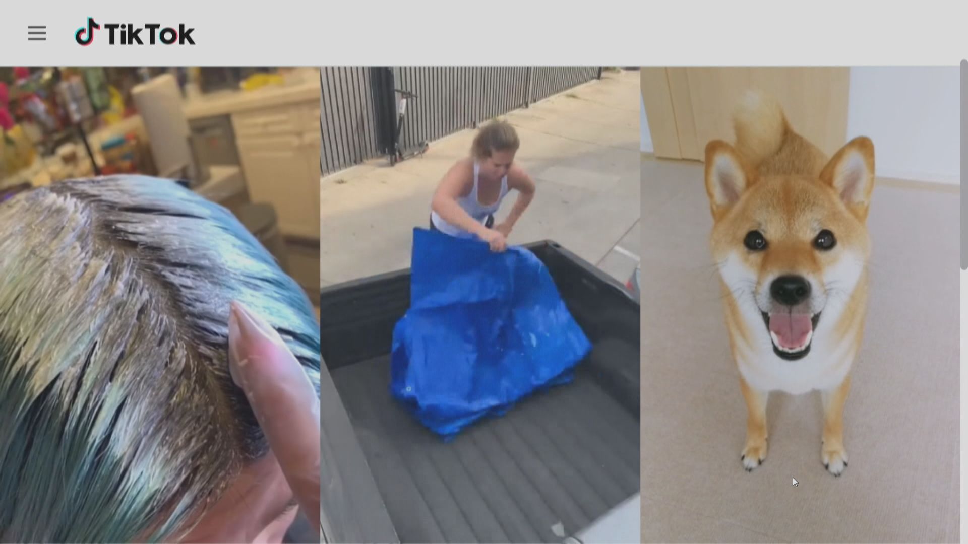 傳TikTok夥TalkShopLive於美國推出直播購物平台