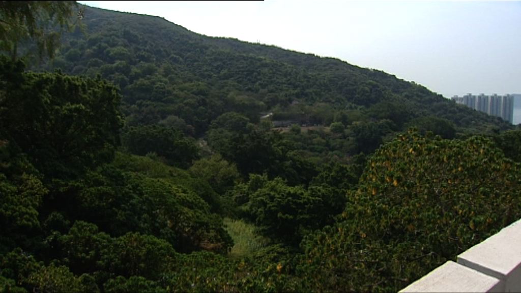 城規會否決置富花園東面土地改劃