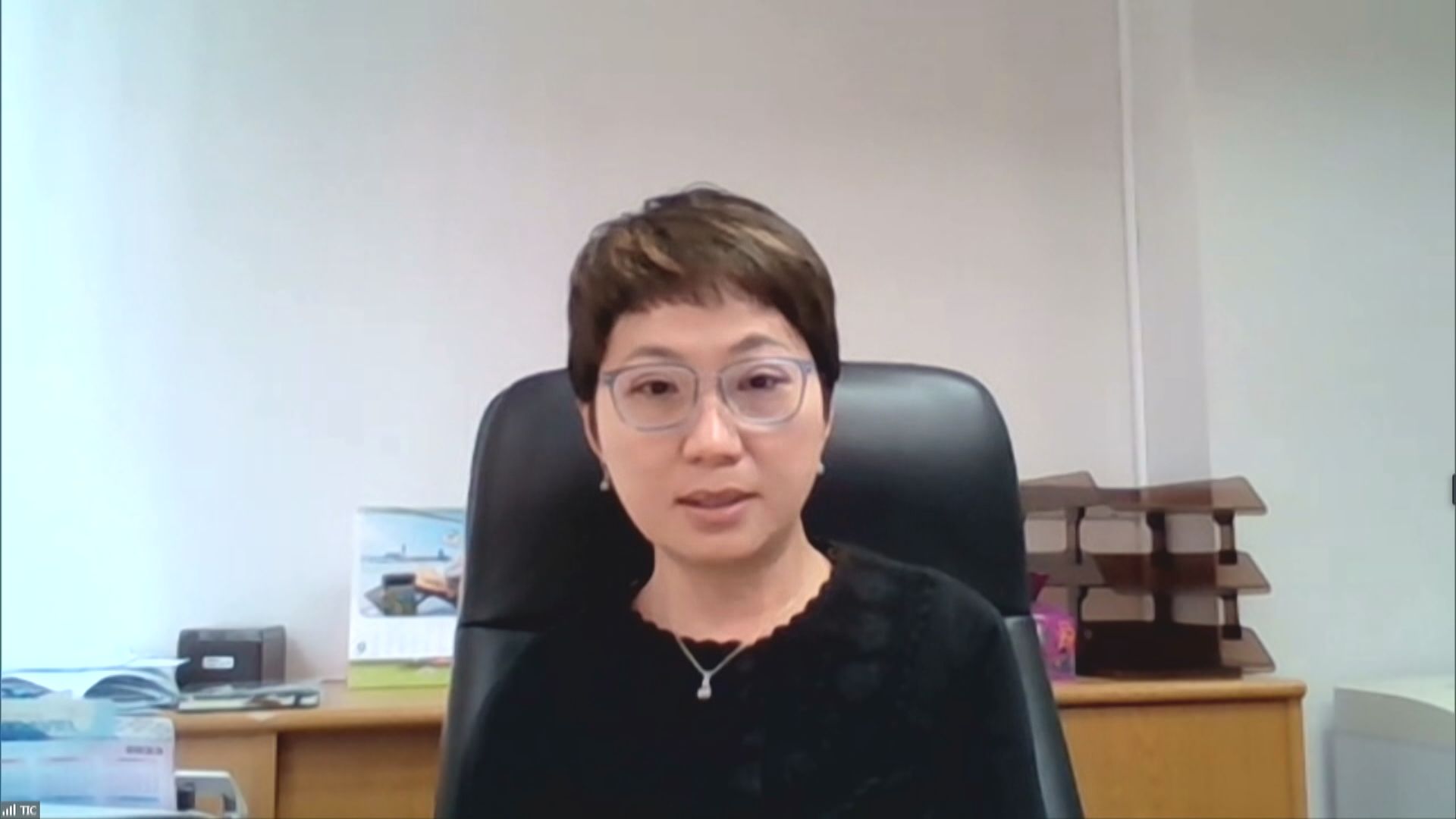 旅議會︰取消黃碼可吸引更多旅客遊港