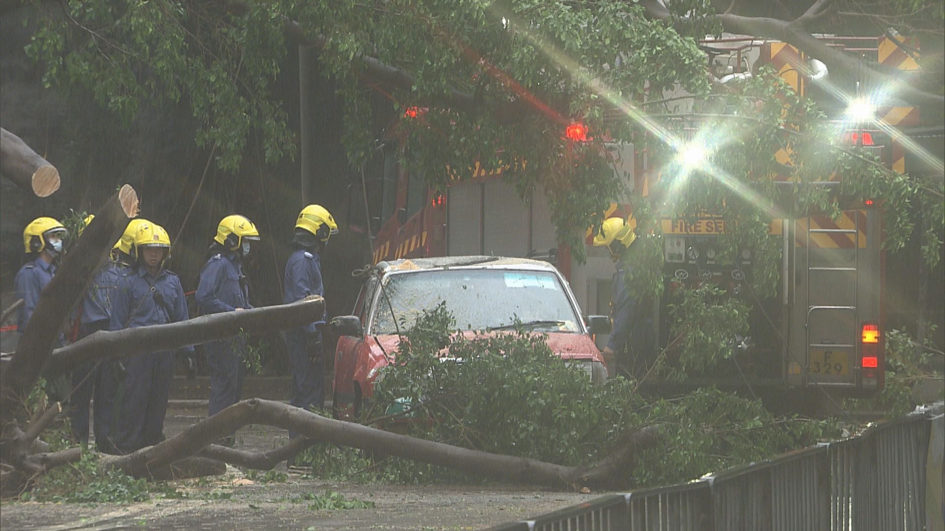 香港仔大道有大樹倒塌壓毀兩輛的士　無人傷