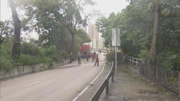 呈祥道近清麗苑一度全線封閉修樹　龍尾伸延至石硤尾