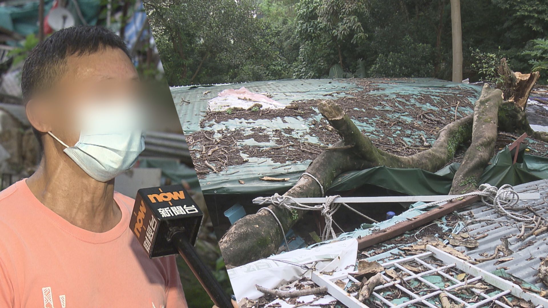 梨木樹有寮屋被大樹壓著近一周無人清 村民斥政府漠視人命安全