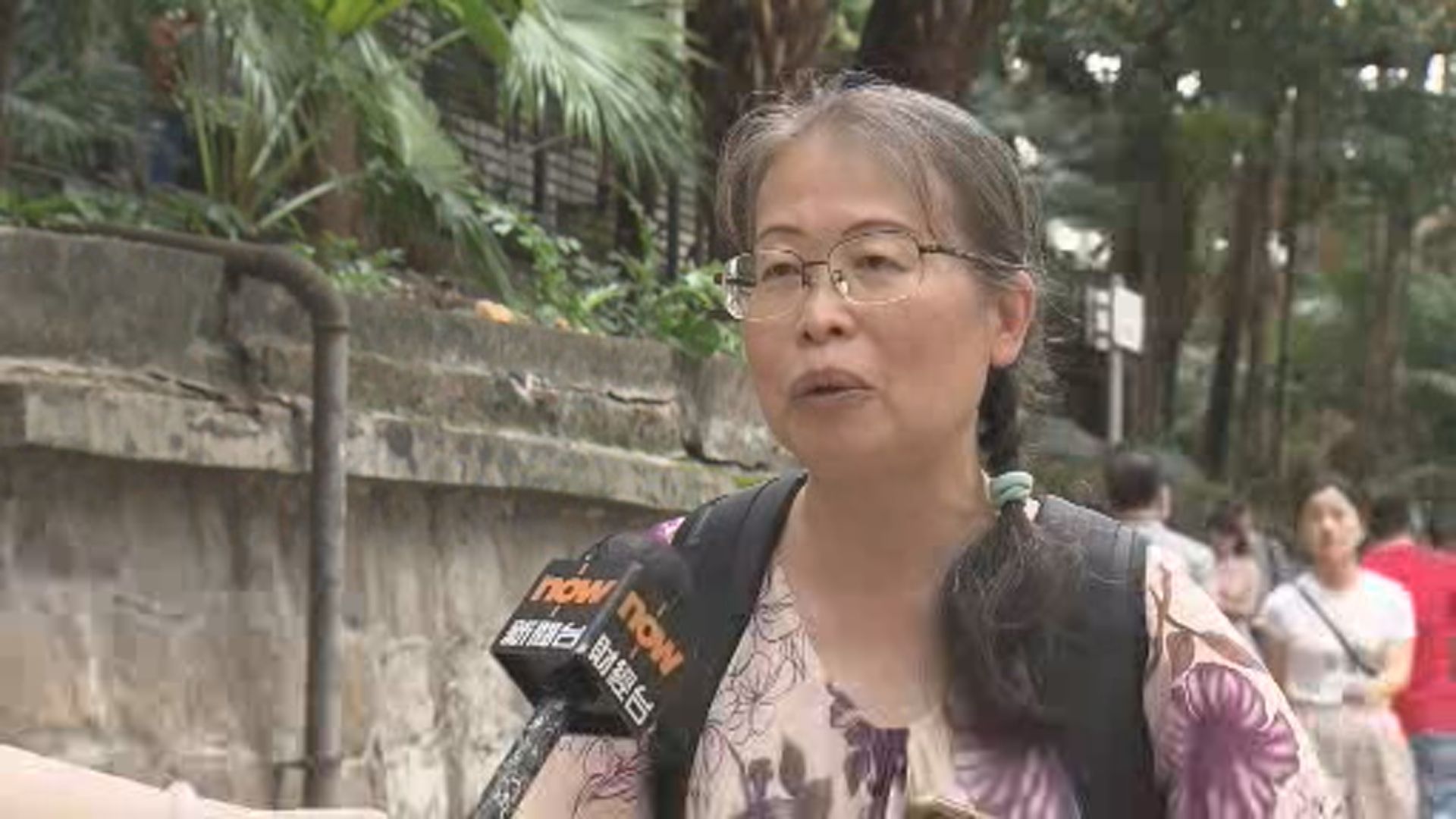 樹木專家：或因真菌感染加上傾斜導致塌樹