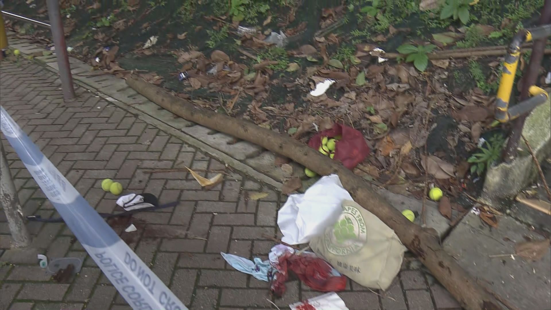 新清水灣道樹椏掉下壓死女途人