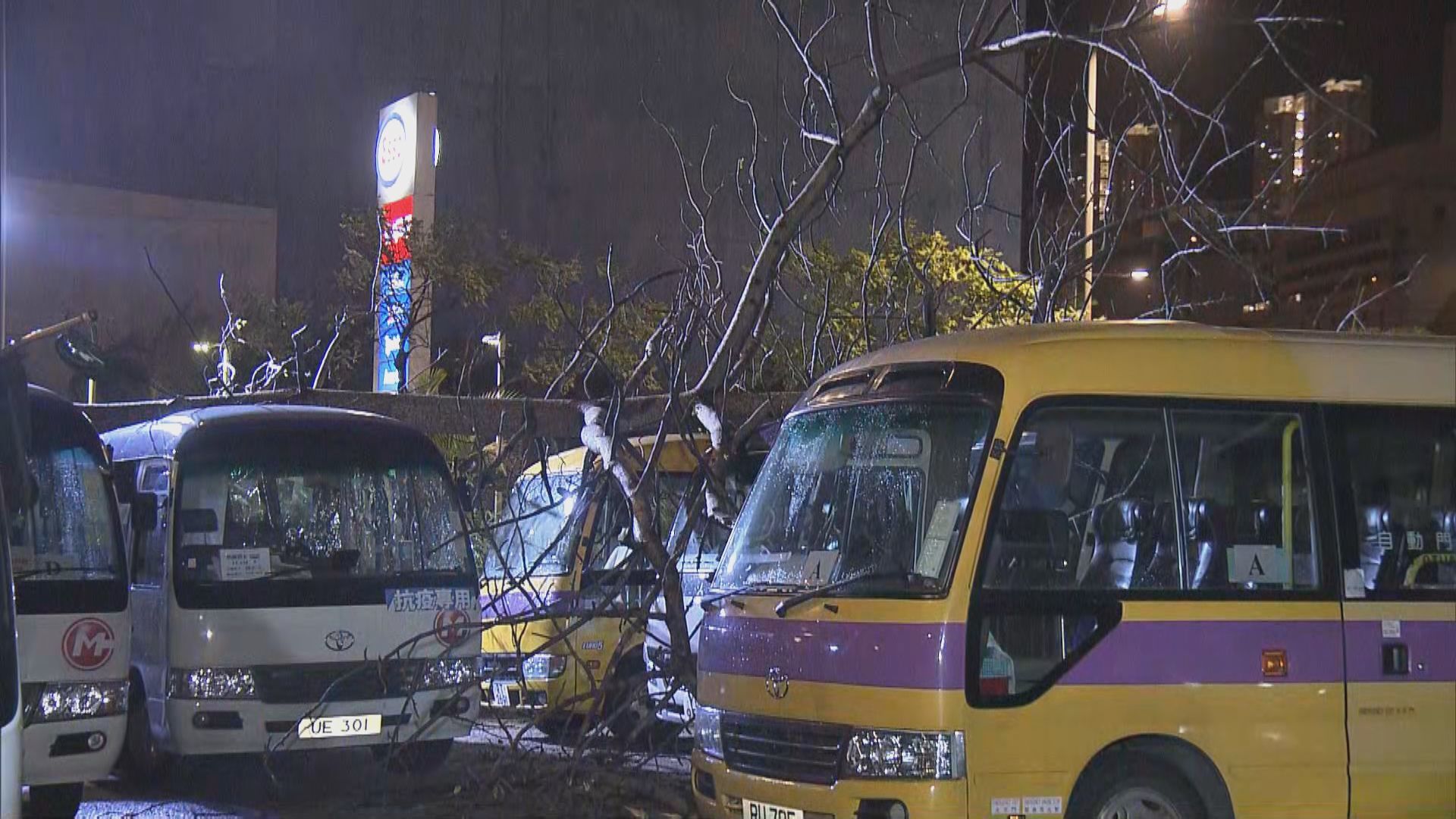 三號信號下觀塘和柴灣分別有塌樹　無人傷