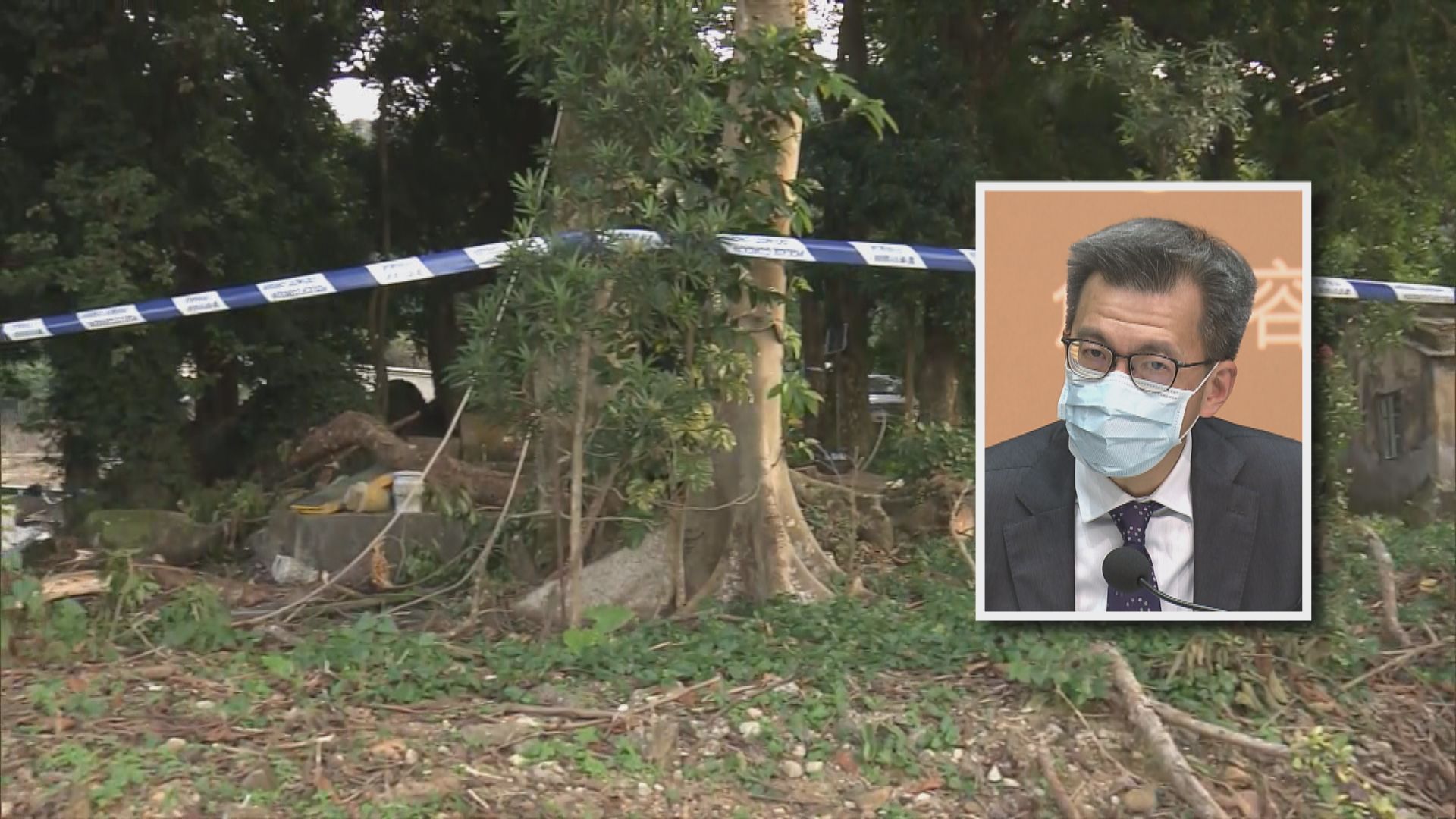 地政總署：8月接到梧桐寨村塌樹投訴　對延誤處理事件致歉