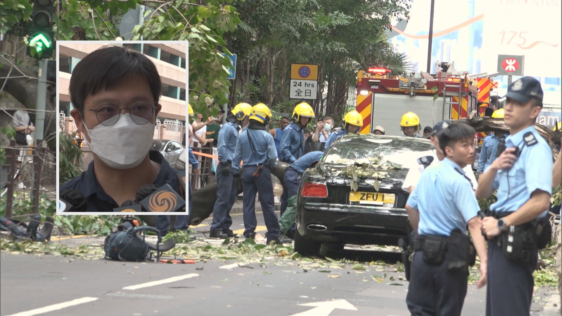 海防道塌樹壓車 環團促加強樹木檢測深入程度