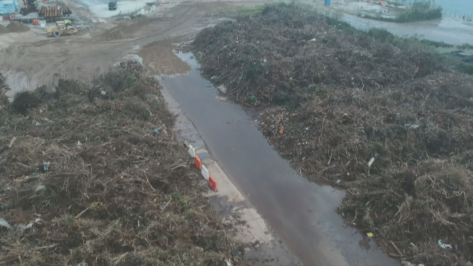 環保團體憂啟德木料收集處即將爆滿