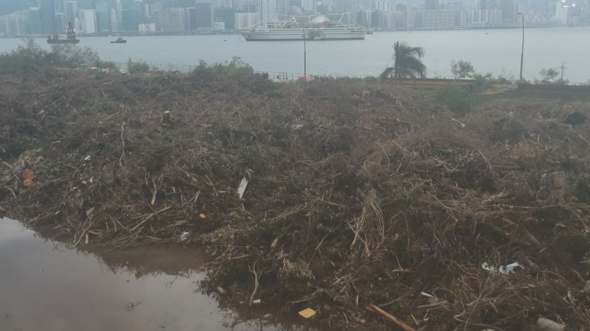 環保團體建議樹木枯枝運往鄉郊處理