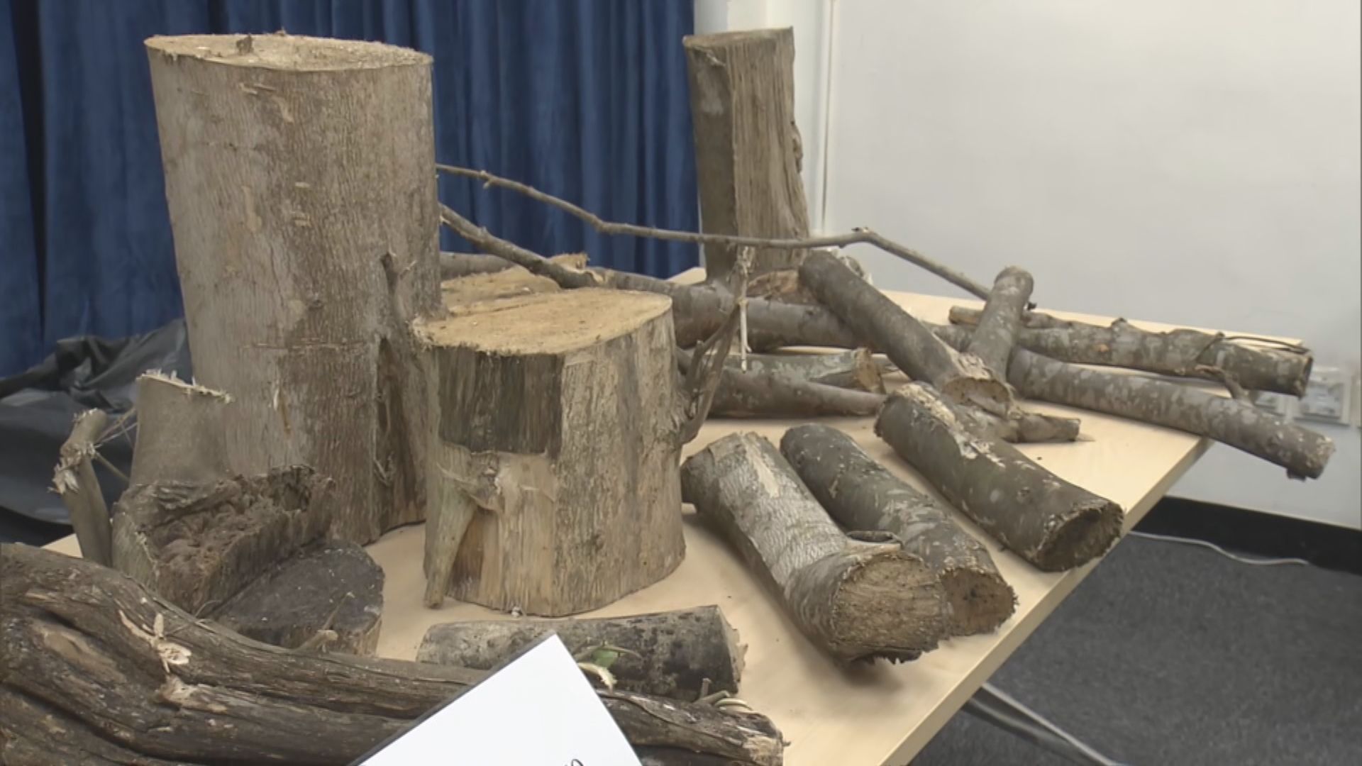 警方拘捕五人涉非法砍伐沉香樹