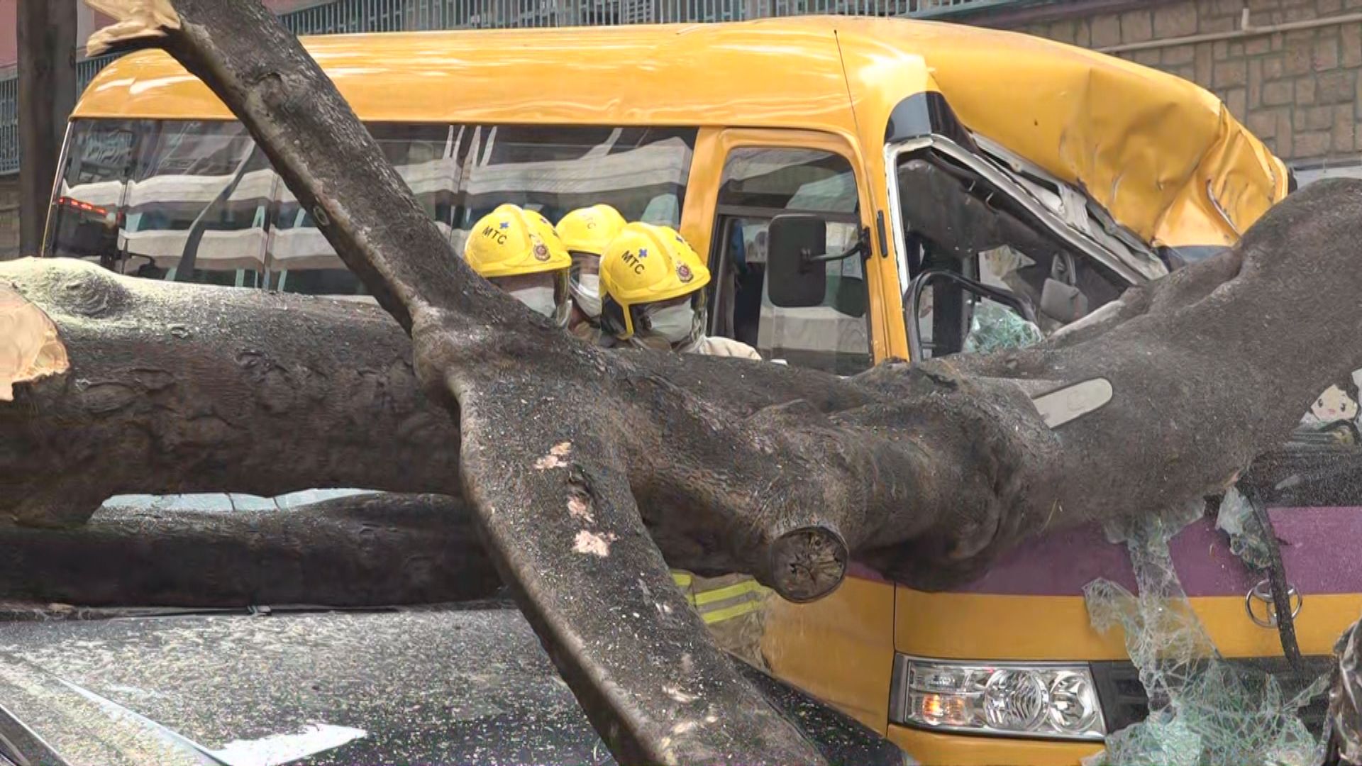 康文署：四月檢查巴富街塌樹無發現腐爛跡象　同街樹木無異樣