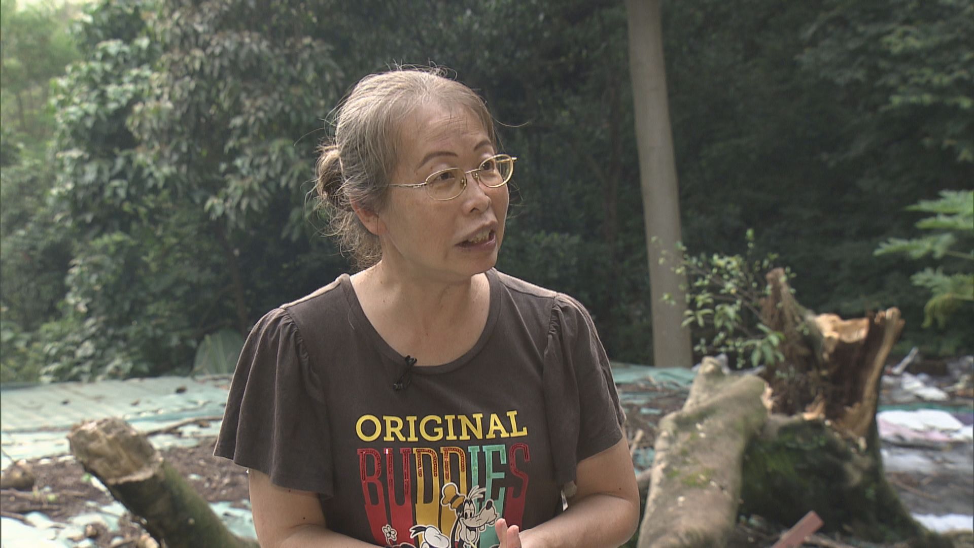 樹木專家稱相關部門應盡快清理塌樹  責任誰屬容後再議