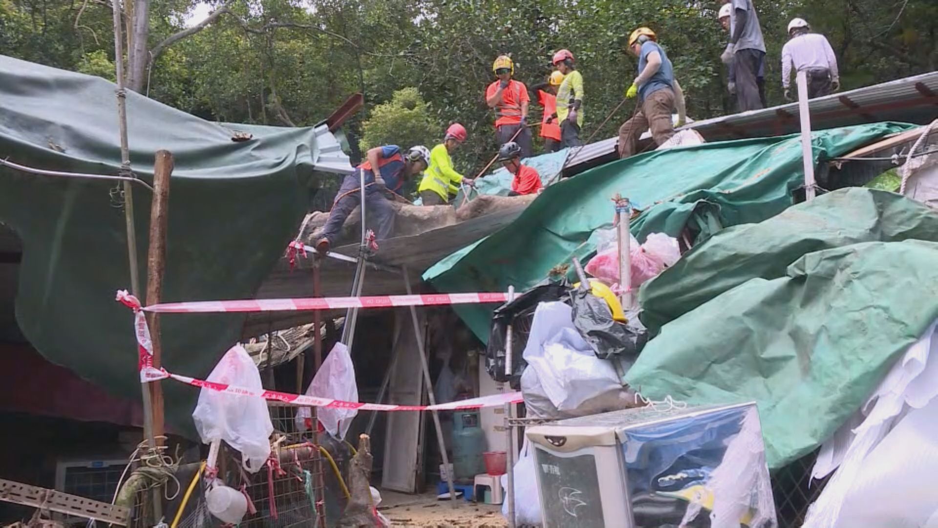 外判商下午到梨木樹移走倒塌樹木