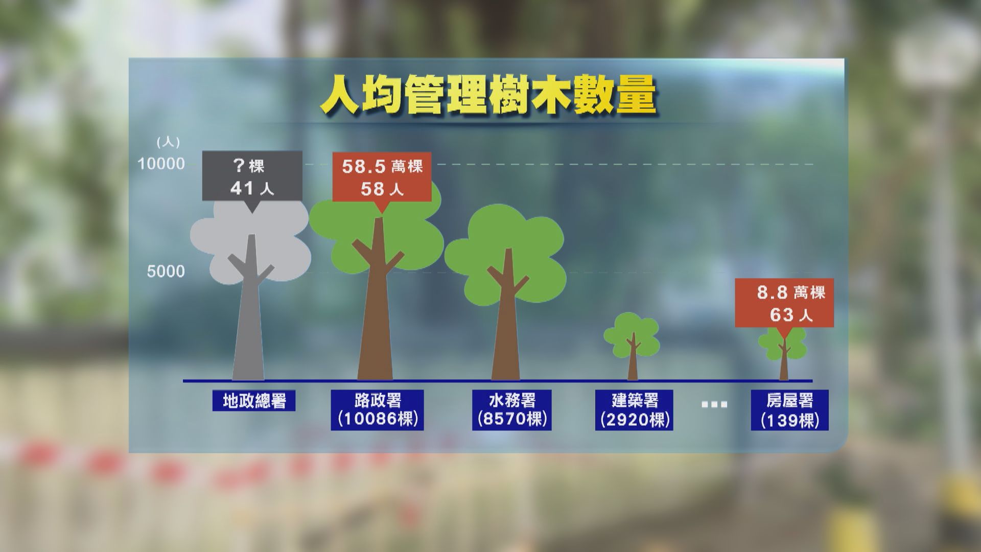 有政府部門人均護養逾萬棟樹　發展局回覆稱部分部門會聘外判管理