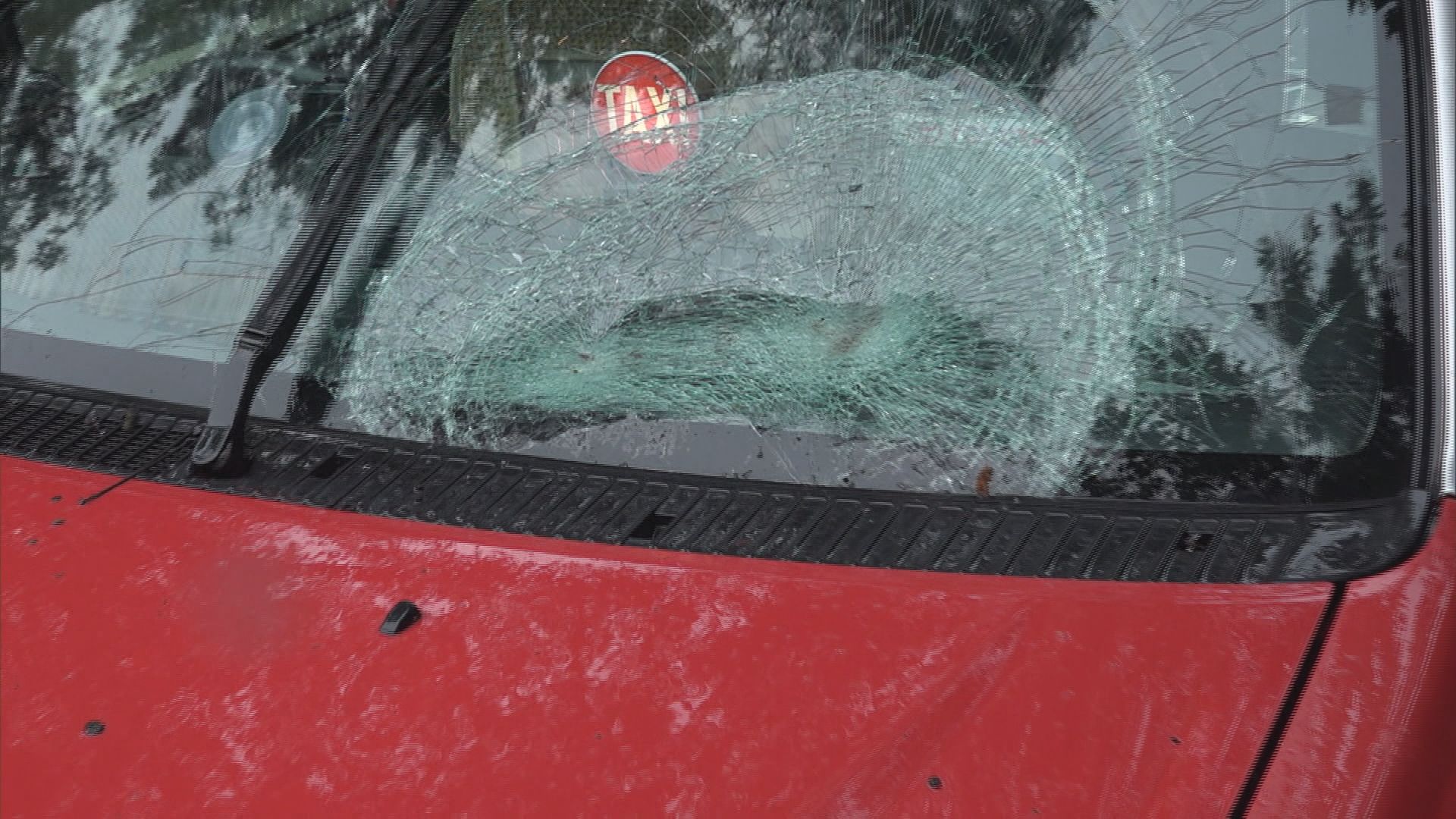 淺水灣道樹枝折斷擊中的士無人傷