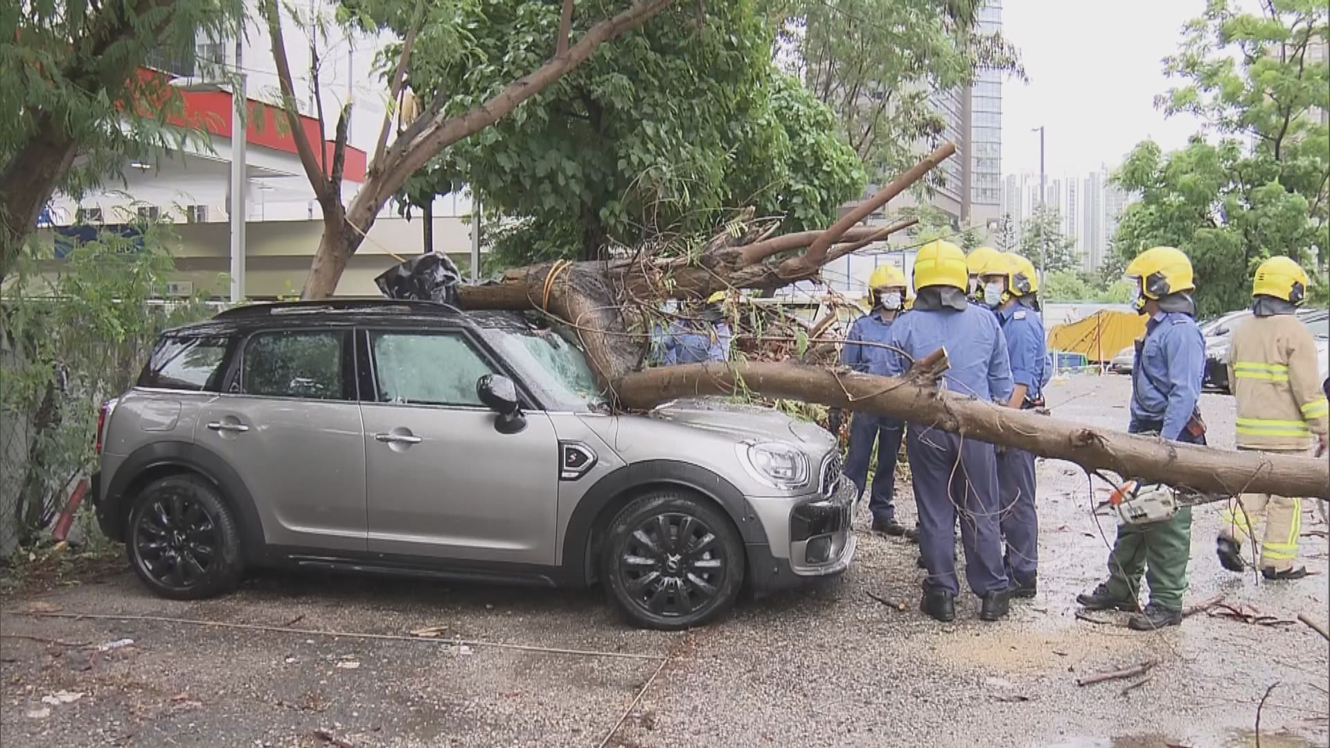 沙田石門有大樹懷疑被風吹倒壓毀四輛車