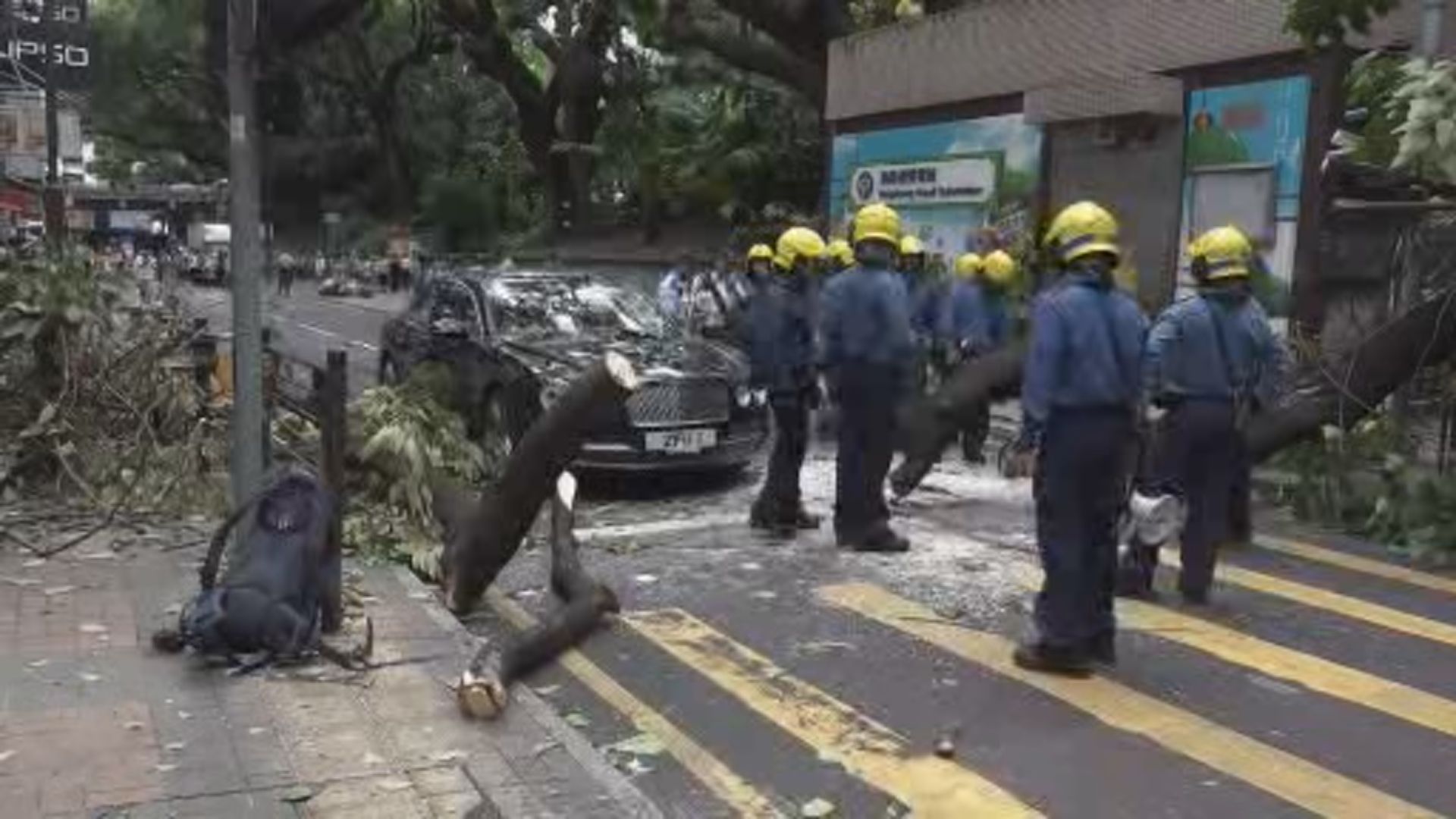 尖沙咀海防道有大樹倒下壓中一輛黑色私家車