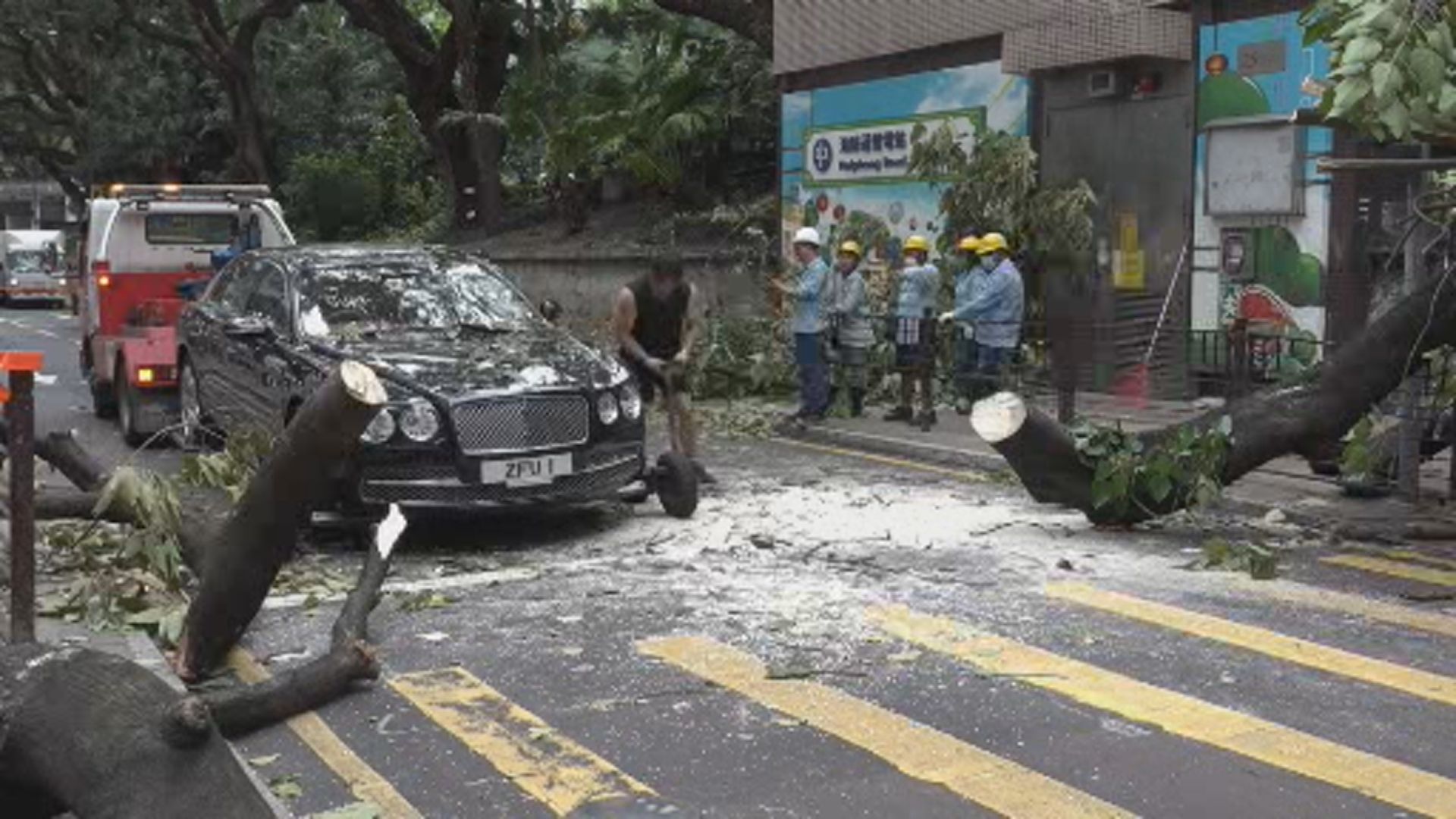 尖沙咀海防道有大樹倒下壓中一輛黑色私家車