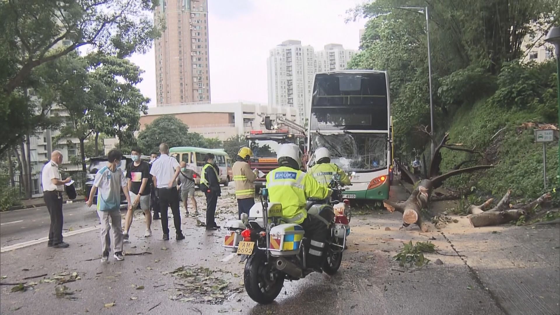 西區塌大樹波及新巴、的士及小巴兩人傷　乘客自行下車