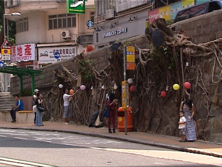 路政署晚上上載報告解釋斬樹