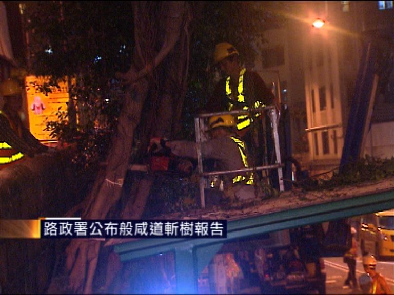 路政署公布般咸道斬樹報告