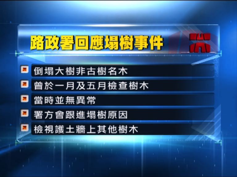 路政署指塌樹地點石牆結構無損