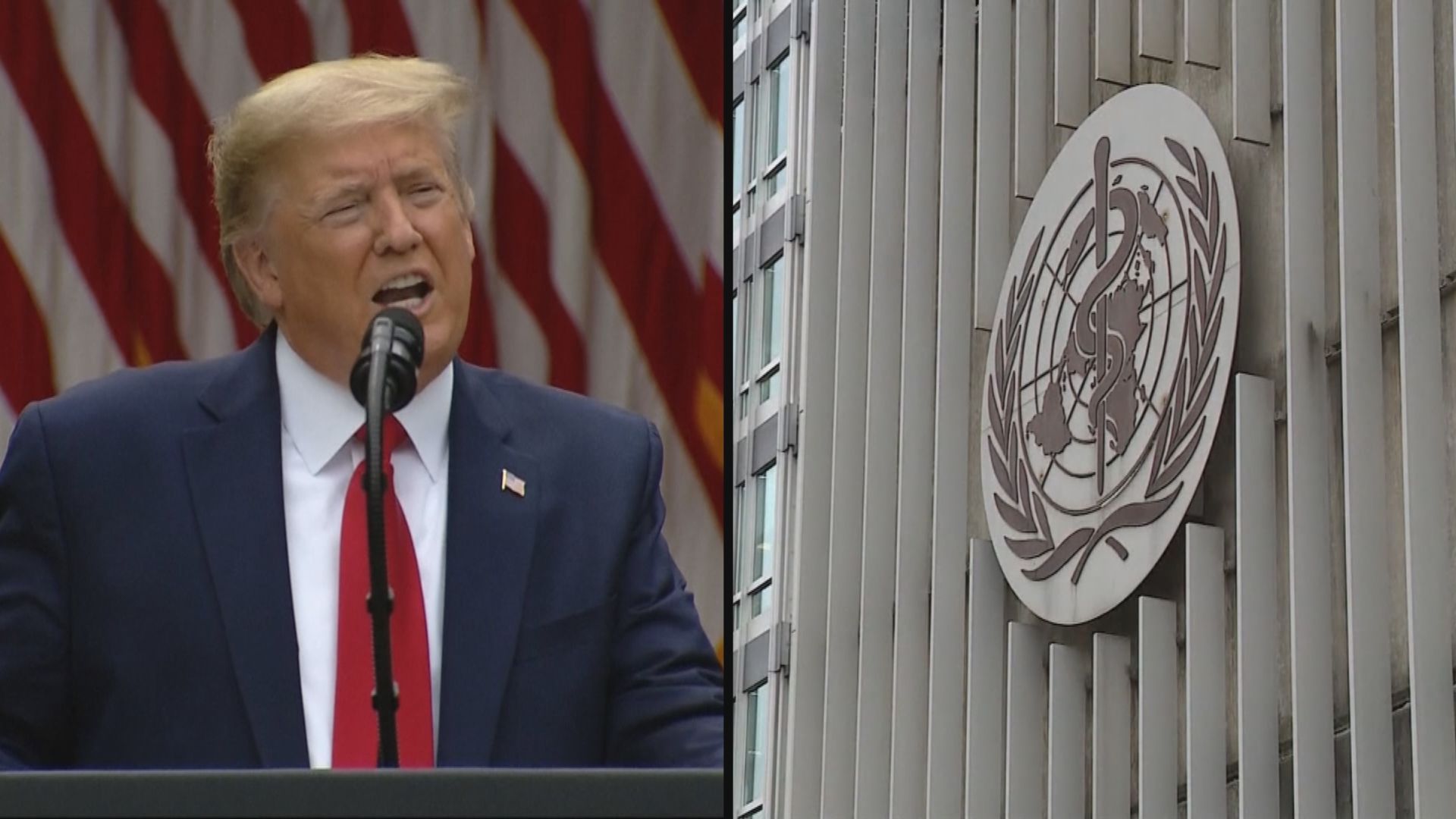 特朗普宣布美國終止與世衛關係