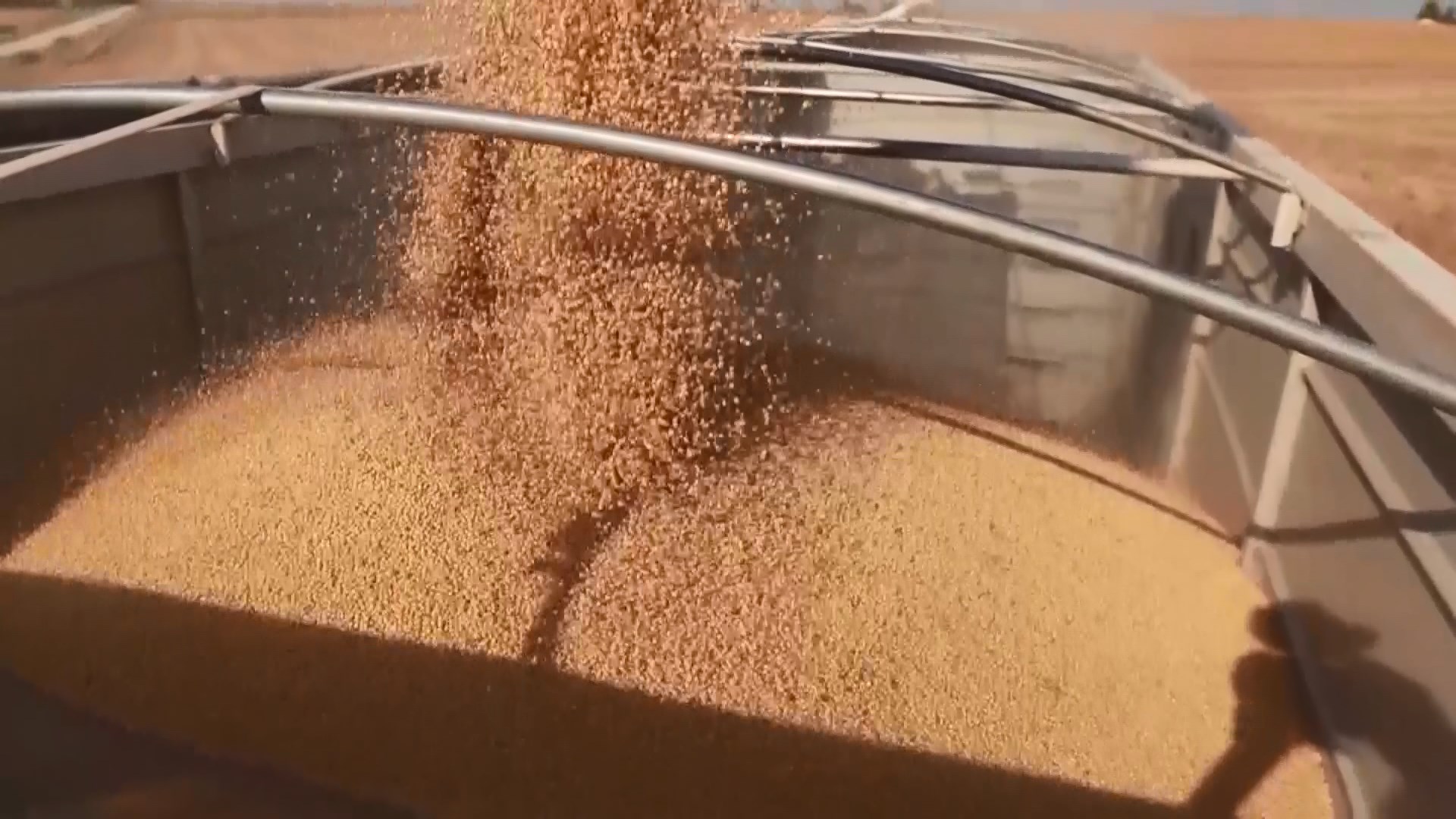 特朗普：恢復對巴西和阿根廷鋼鐵鋁材加徵關稅