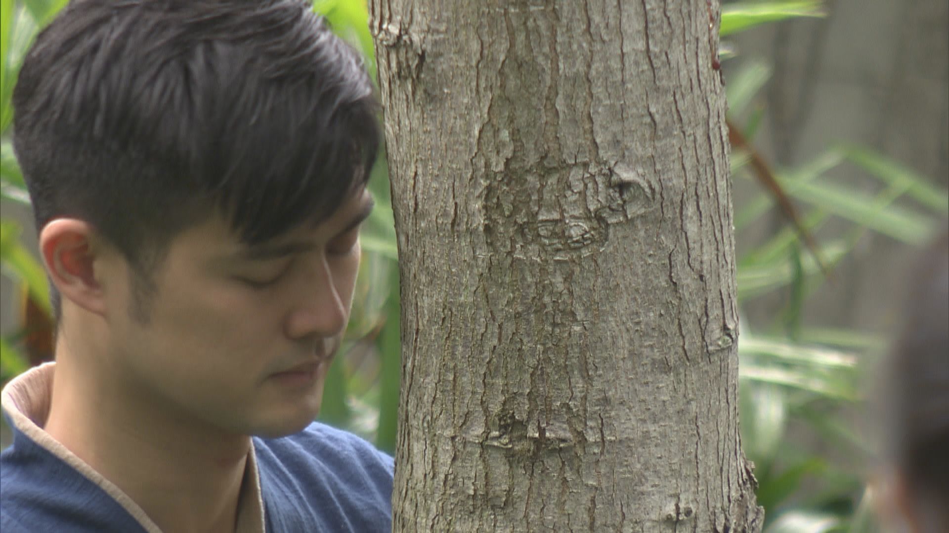 【喚醒五感】慈山寺九月辦山林療癒活動　公眾可自薦成陪伴員