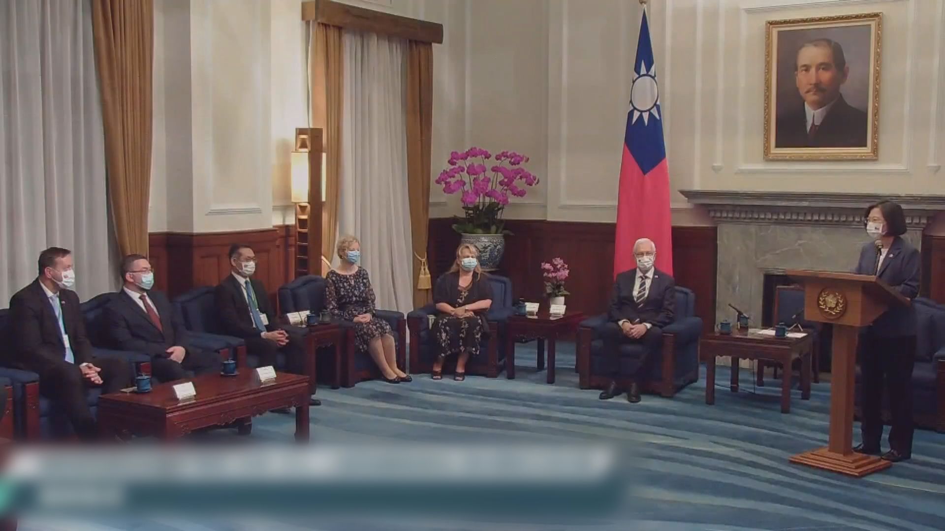 蔡英文接見捷克參議院代表團