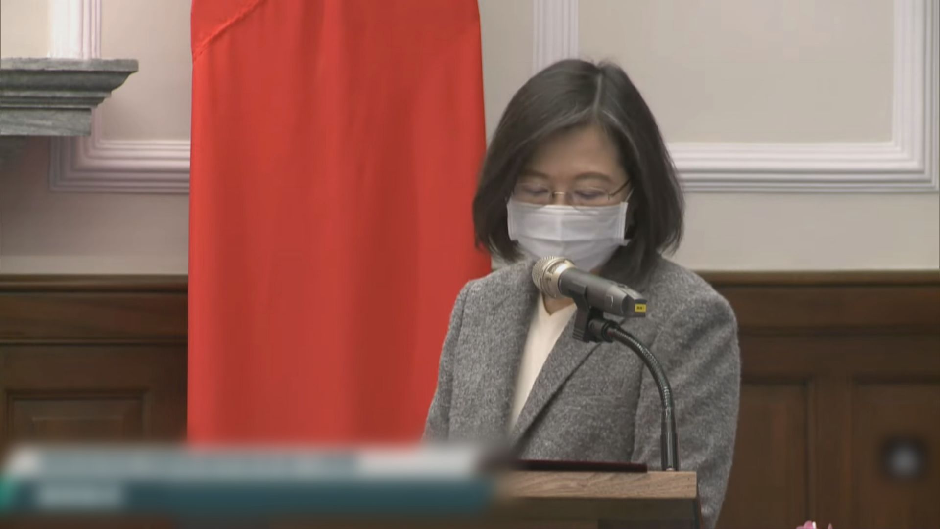 蔡英文接見歐洲議會國貿委員會首個官方代表團