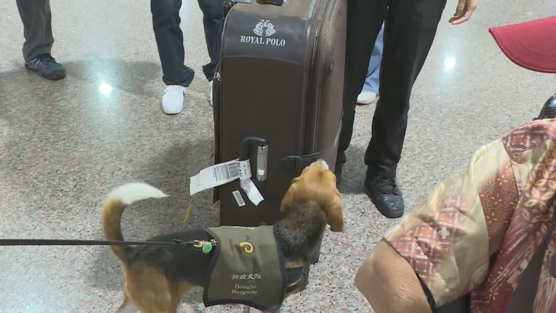 台查獲旅客違規攜帶肉類個案增加