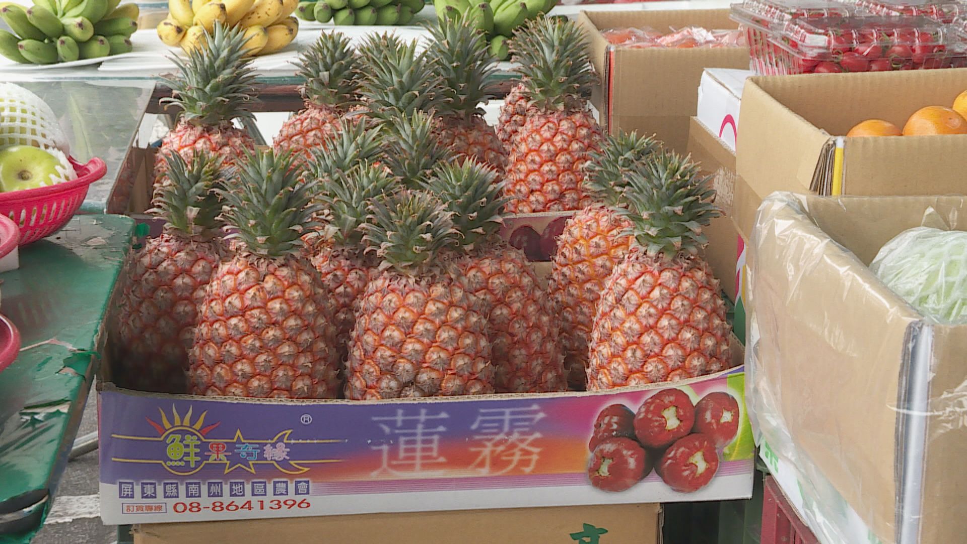 台灣籲全民買菠蘿　訂購量超去年賣至大陸數量