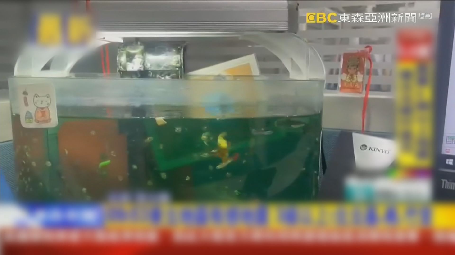 台灣宜蘭發生5.8級地震　台北、福建多地有震感