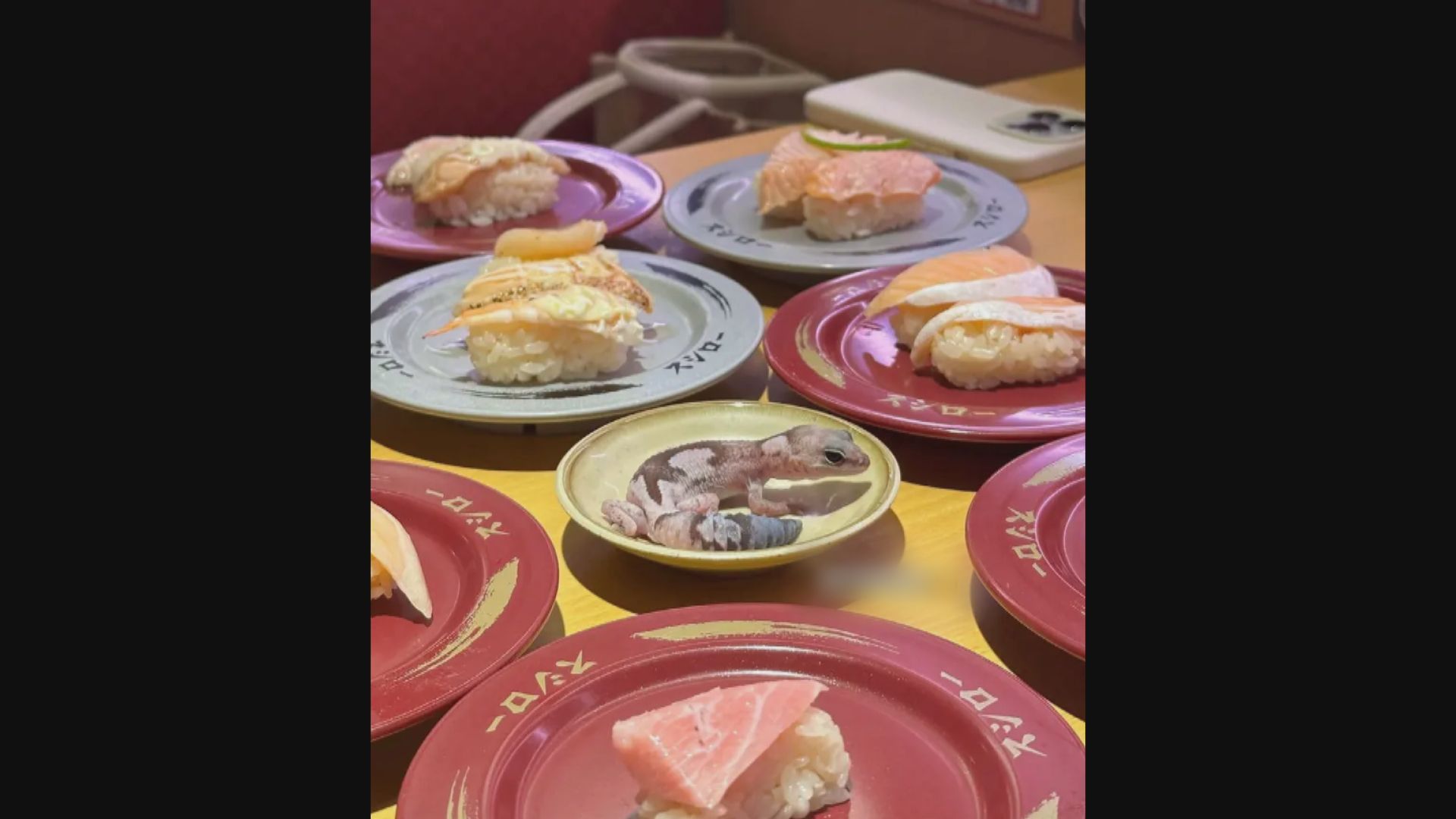 台女大生蜥蜴放壽司郎醬料碟 引發爭議