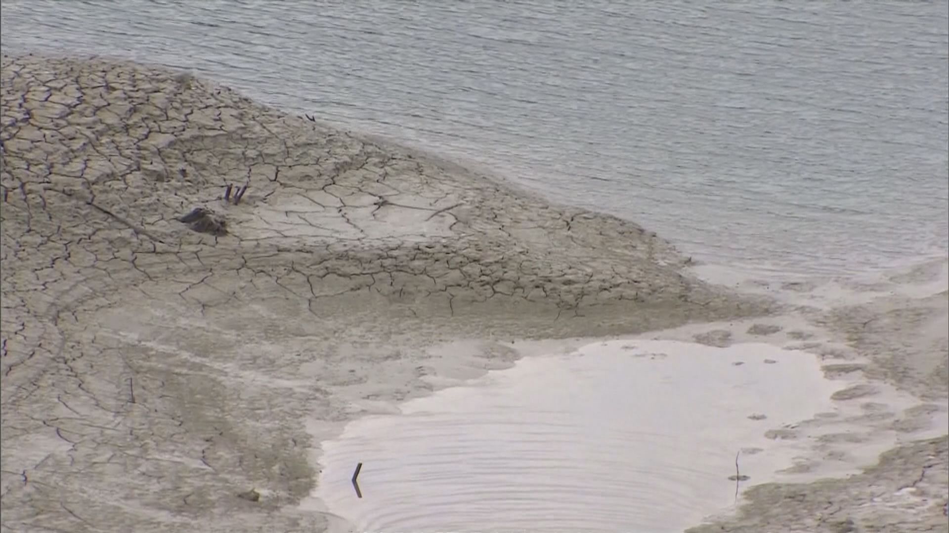 台灣經歷56年來最嚴重旱情　蔡英文籲節約用水