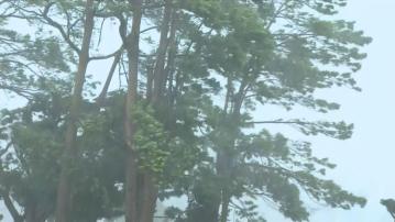 颱風楊柳橫掃台灣造成最少33人受傷　一名釣魚客被浪捲走失蹤