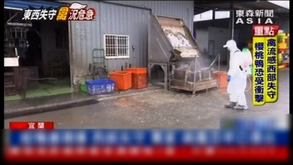 台灣嘉義縣出現H5N6禽流感疫情