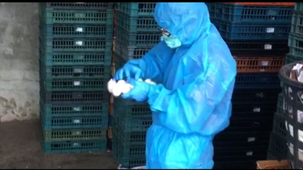 台灣有雞蛋殺蟲劑含量超標三十倍