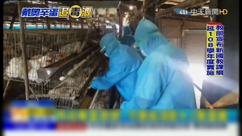 台灣雞蛋二噁英超標　當局銷毀逾四萬隻雞